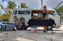 Cancun Beach Seafood Barbecue Class in a Kombi