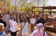 Cultural & Ecology, Nature & History of the hidden towns of Southern Baja! 
