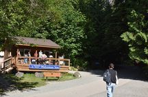 Whistler & Sea to Sky Gondola Tour with Shannon Falls Stop