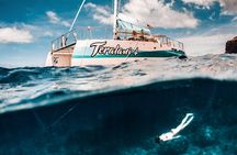 Maui: Kaanapali Beach 5-hour Snorkel w/ BBQ Lunch & Open Bar 