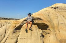 Drumheller Tour Royal Tyrell Museum Shared Tour