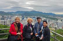 Free style private Tour(Essence of Seoul city or DMZ)