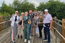 Free style private Tour(Essence of Seoul city or DMZ)