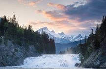 Guided Tour to Banff Highlights & Wildlife With Gondola Admission