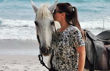Safari & Buenavista Beach Horse Riding Tour