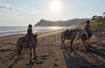 Safari & Buenavista Beach Horse Riding Tour
