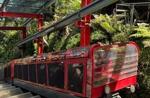 Best Blue Mountains Full Day Tour-Optional Sydney Zoo&Leura Town