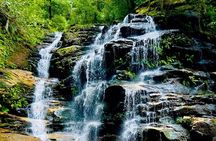 Best Blue Mountains Full Day Tour-Optional Sydney Zoo&Leura Town