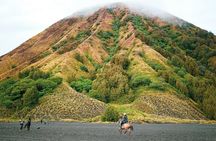 From Yogyakarta to Bali : Bromo and Kawah Ijen in 3 Day Adventure