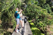 Bangkok Jungle E Scooter Tour