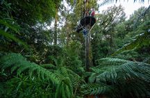 Rotorua’s Ultimate Zipline: 6 ziplines, 400 m Tandem, Cliff Walk