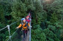 Rotorua’s Ultimate Zipline: 6 ziplines, 400 m Tandem, Cliff Walk