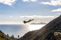  Fly By Wire New Zealand