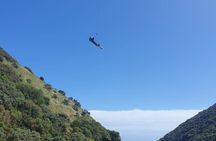  Fly By Wire New Zealand