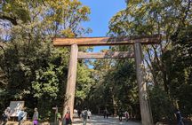 4-Hour Nagoya Private Custom Tour – Licensed Guide & Private Car