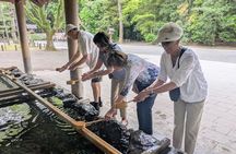 4-Hour Nagoya Private Custom Tour – Licensed Guide & Private Car