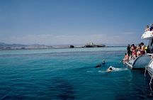 Tiran Island Snorkeling Trip W/Lunch & Transfer – Sharm El Sheikh