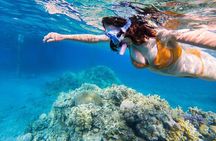 Tiran Island Snorkeling Trip W/Lunch & Transfer – Sharm El Sheikh