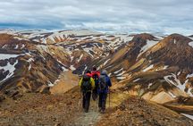 From Reykjavík: Landmannalaugar Hiking Day Tour