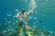 Lombok: Secret Gili Private Snorkeling Boat Trip