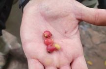 Spice Farm, Stone Town and Prison Island in Zanzibar