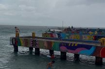 Snorkeling and Sightseeing Tour Explore Puerto Rico Marine Life