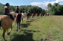 Garfagnana Horseback Riding Experience in Tuscany