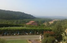 Garfagnana Horseback Riding Experience in Tuscany