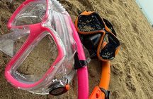 Snorkeling and Sightseeing Tour Explore Puerto Rico Marine Life