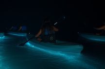 Kayak Tours and Rentals. Dolphins, Manatees, and Bioluminescence!