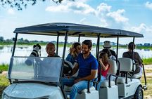 Camargue Electric Car Safari in a Nature Reserve