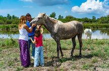 Camargue Electric Car Safari in a Nature Reserve