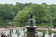 Small Group 2 Hours Walking Tour of Central Park - up to 8 people