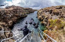 Silfra Snorkel - Between Continents - When Quality Matters
