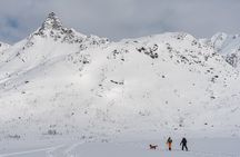 Tromsø: Arctic Snowshoeing Experience