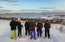 Tromsø: Arctic Snowshoeing Experience