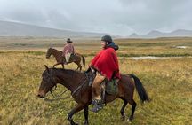 Cotopaxi Horseback Riding Tour