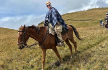 Cotopaxi Horseback Riding Tour