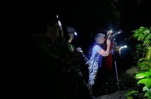 La Fortuna Night Tour 2hrs Private Rainforest Reserve