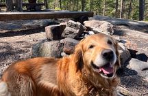 Oslo: Panoramic Fjord Hike Lead by a Local Guide and Dog