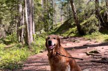 Oslo: Panoramic Fjord Hike Lead by a Local Guide and Dog