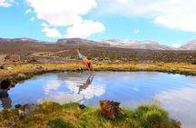 Full Day Tour to the Salinas de Arequipa lagoon