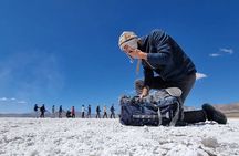 Full Day Tour to the Salinas de Arequipa lagoon