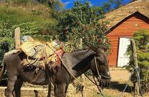 CITY TOUR City and Countryside