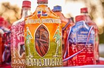 CITY TOUR City and Countryside