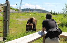 Grouse Mountain, Skyride Gondola & Capilano Bridge from Vancouver