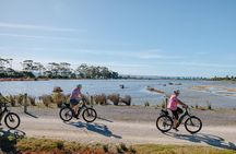 Napier E-bike Hire