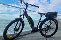 Napier E-bike Hire