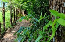 Puerto Plata Rejoya River Excursion Amber Cove Taino Bay Hotels 