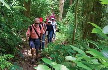 Puerto Plata Rejoya River Excursion Amber Cove Taino Bay Hotels 